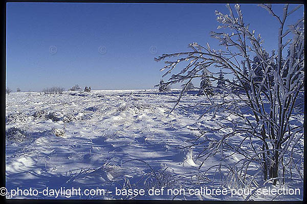 les Hautes Fagnes